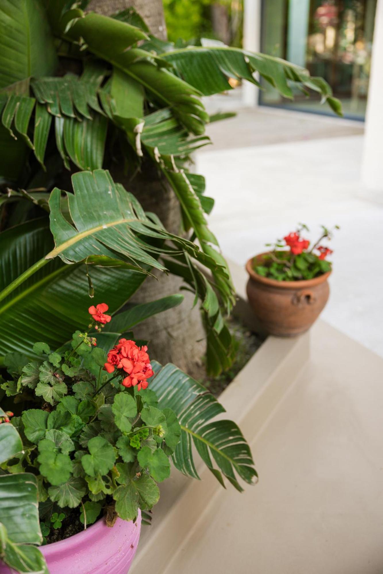 Bitez Corner Boutique Hotel Luaran gambar